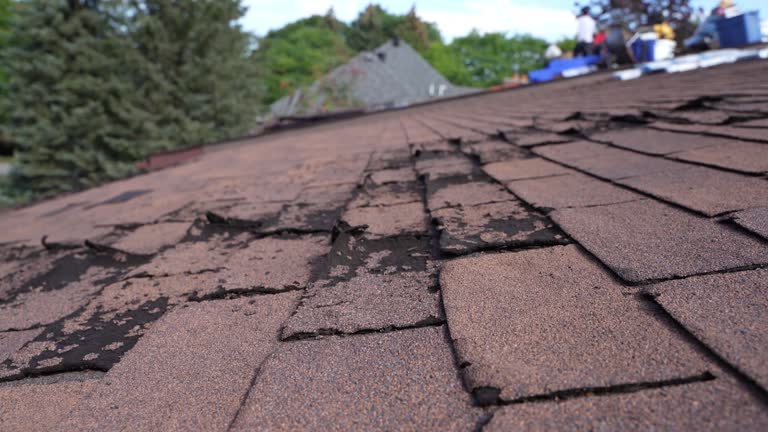 Best Roof Ventilation Installation  in , NE