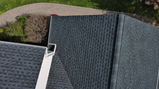 Best Roof Maintenance and Cleaning  in , NE