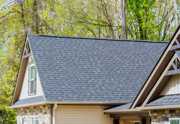 Best Skylights  in , NE