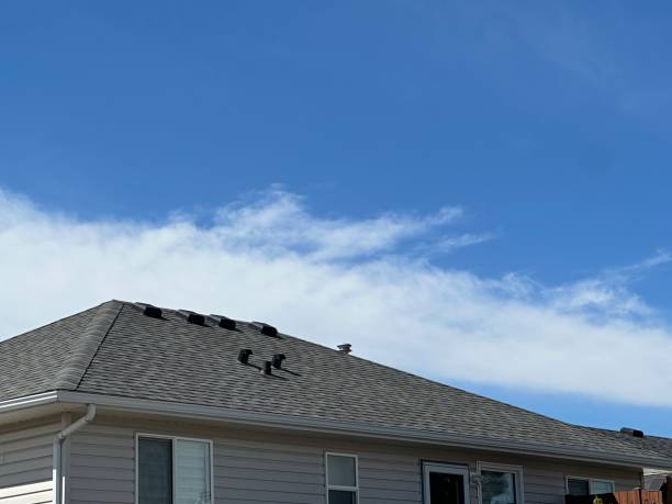 Best Roofing for New Construction  in , NE